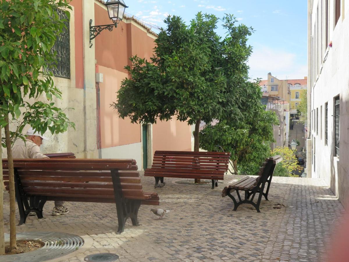 Apartamento 3 Bedroom Apt, Historical Center, Tagus River View