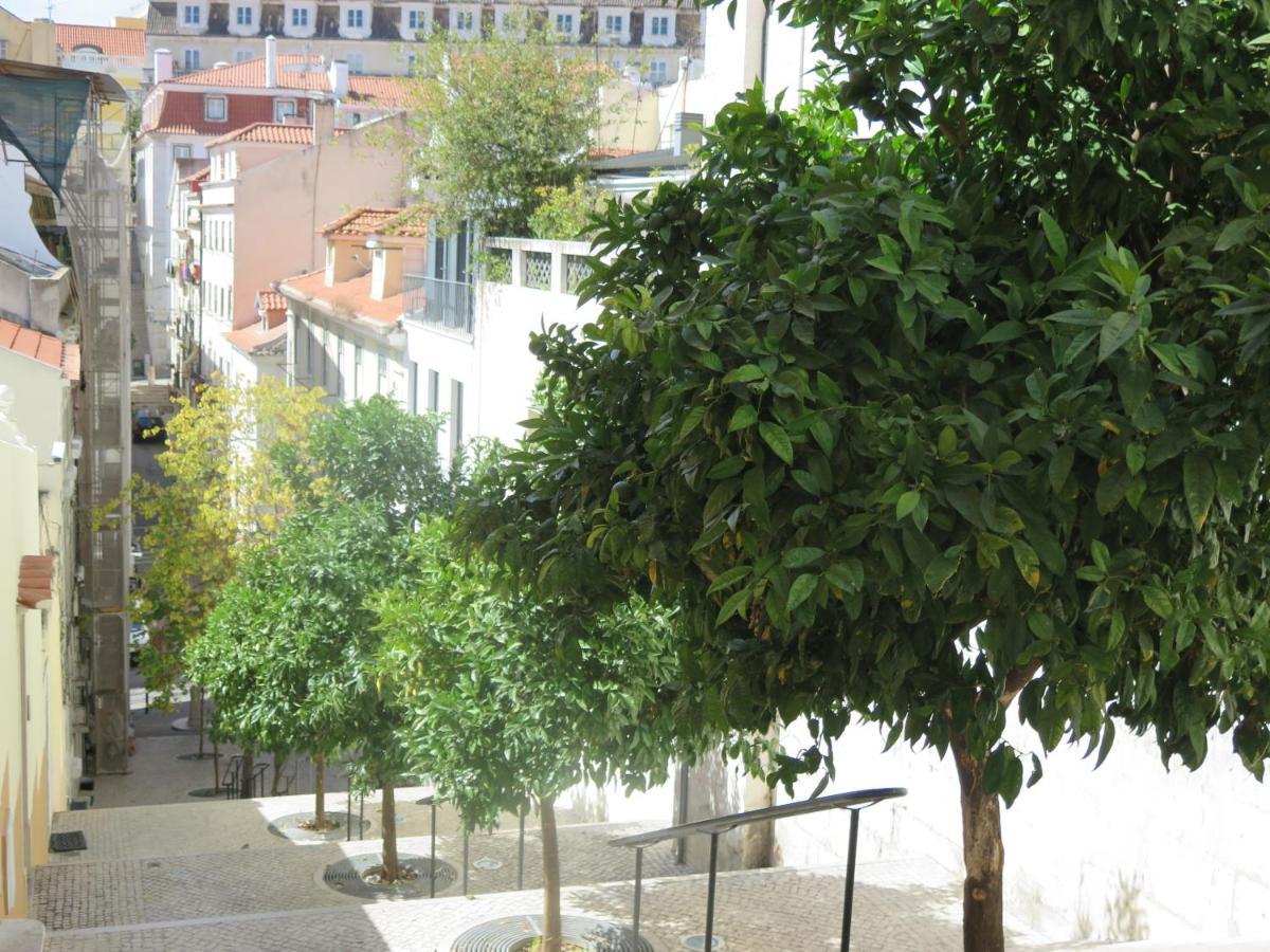 Apartamento 3 Bedroom Apt, Historical Center, Tagus River View